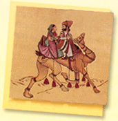 Farben von Rajasthan !