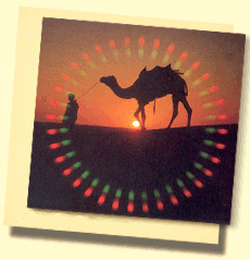 Das Kamel und Führer in der Wüste von Rajasthan beim Sonnenuntergang !