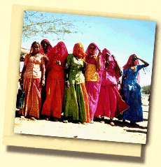 Rajasthani Frauen in einer Gruppe in einem Dorf in der Nhe von Bikaner !