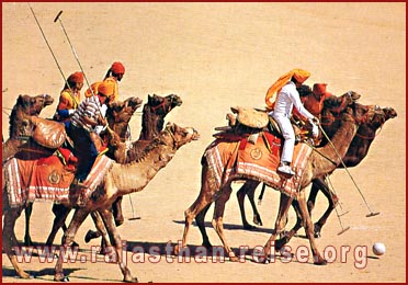 camel Polo in  Rajasthan