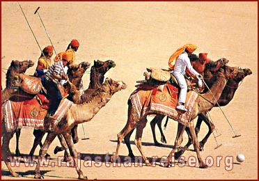 Camel Polo in Rajasthan