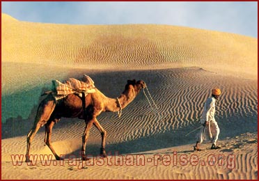 The sand dunes-Jaisalmer