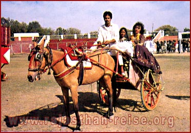 Ekka Ride-Bikaner Rajasthan