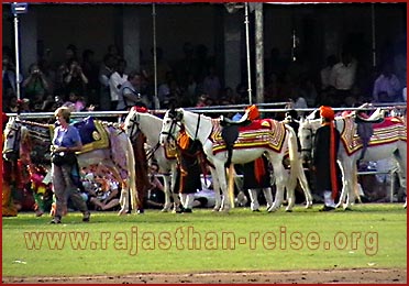 Elephant Festival in Jaipur, Rajasthan