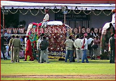 Elephant Festival in Jaipur, Rajasthan