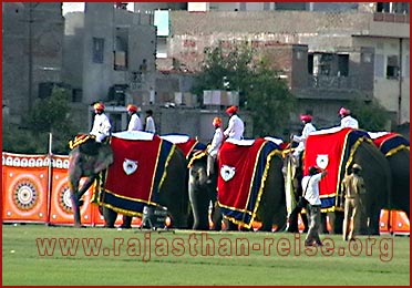 Elephant Festival in Jaipur, Rajasthan