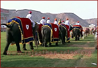 Elephant Festival in Jaipur, Rajasthan