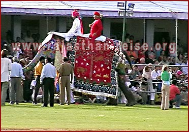 Elephant Festival in Jaipur, Rajasthan