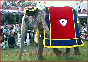 Elephant Festival in Jaipur, Rajasthan