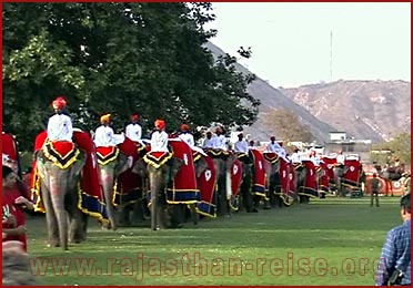 Elephant Festival in Jaipur, Rajasthan