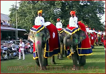 Elephant Festival in Jaipur, Rajasthan