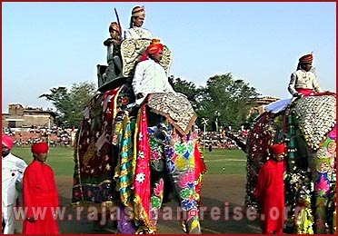 Elephant Festival in Jaipur, Rajasthan