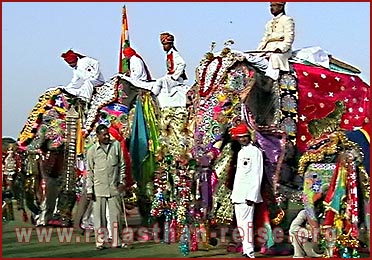 Elephant Festival in Jaipur, Rajasthan