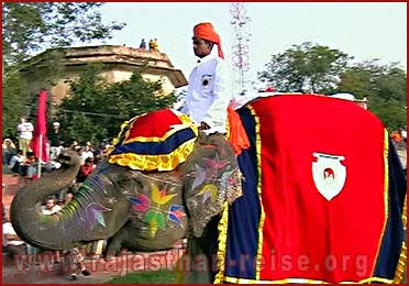 Elephant Festival in Jaipur, Rajasthan