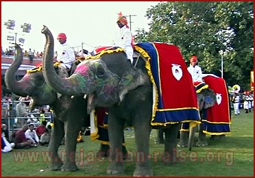 Elephant Festival in Jaipur, Rajasthan