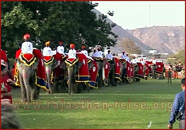 Elephant Festival in Jaipur, Rajasthan