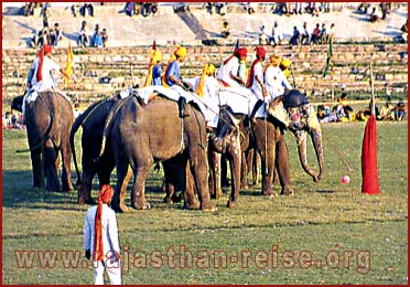 Elephant Polo in Rajasthan