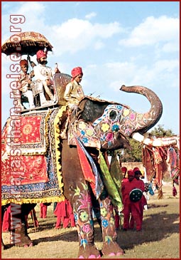 Elephant Festival in Jaipur, Rajasthan