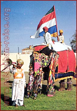 Elephant Festival in Jaipur, Rajasthan