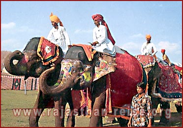 Elephant Festival in Jaipur, Rajasthan