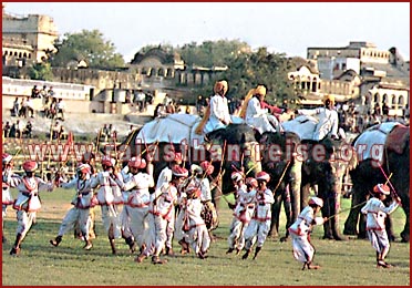 Elephant Festival in Jaipur, Rajasthan