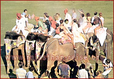 Elephant Festival in Jaipur, Rajasthan