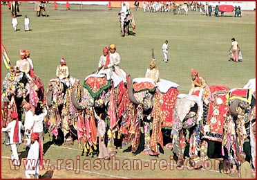 Elephant Festival in Jaipur, Rajasthan