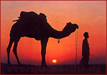 Sunset in Desert of Rajasthan