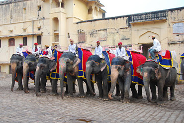 Elefanten-und-ihre-Aufpasser-warten-auf-Touristen