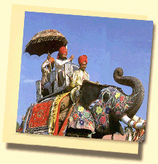 Elephant Festival in Rajasthan