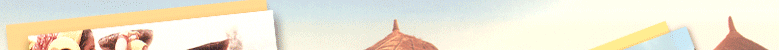 Shekhawati Gebiet: Geschichte - Sikar - Lakshmangarh - Fatehpur - Churu - Bissau - Mandawa - Jhunjhunu - Nawalgarh 