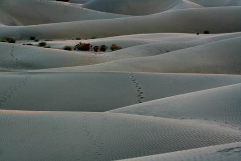 sand_dunes_khuri-Jaisalmer